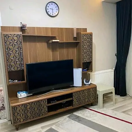 Steven Orion Park Apartment