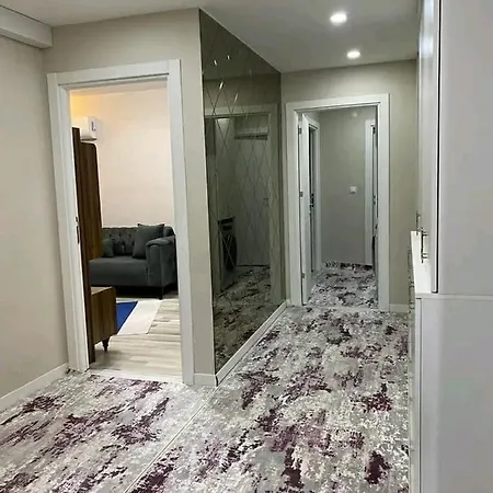 Steven Orion Park Apartment *