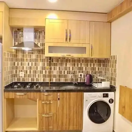 Steven Orion Park Apartment *
